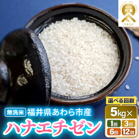 【ふるさと納税】【先行予約】【令和8年産】華越前 無洗米 5kg 単品 【選べる回数：1回 / 3回 / 6回 / 12回 】【選べる発送月：9月上旬 / 10月上旬】/ 米 5キロ ハナエチゼン はなえちぜん 北陸 福井県産 あわら市 ブランド米 白米 お米 コメ こめ むせんまい