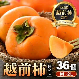 yӂ邳Ɣ[Łzys\zzO` 36 6kgiM`2LjJAܗeq2 ^ ʕ t[c ` Yn Ԍ 2025N11{菇