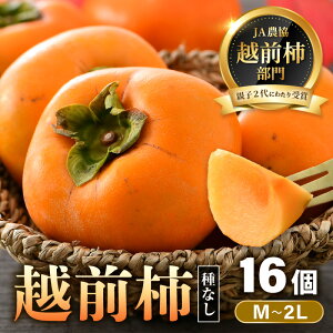 yӂ邳Ɣ[Łzys\zzO` 16 2.5kgiM`2LjJAܗeq2 ^ ʕ t[c ` Yn Ԍ 2025N11{菇