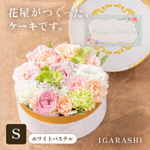 yӂ邳Ɣ[Łzy5ނ̃J[Iׂzԉt[P[L S ^ a ̓ ̓ NX}X j LO TvCY j AWg v[g 