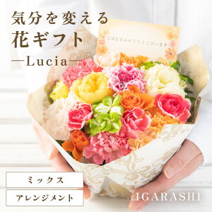 �y�ӂ邳�Ɣ[�Łz�y�X�^�C���ƉԐF��I�ׂ�z�C����ς���ԃM�t�g -Lucia- �^ �a���� ��̓� ���̓� �N���X�}�X �����j�� �����L�O�� �T�v���C�Y ���j�� �A�����W�����g �ԑ� �v���[���g ��