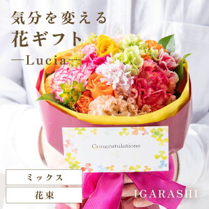 yӂ邳Ɣ[ŁzyX^CƉԐFIׂzCςԃMtg -Lucia- ^ a ̓ ̓ NX}X j LO TvCY j AWg ԑ v[g 