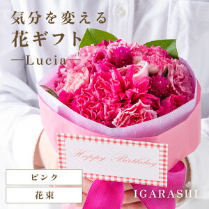 yӂ邳Ɣ[ŁzyX^CƉԐFIׂzCςԃMtg -Lucia- ^ a ̓ ̓ NX}X j LO TvCY j AWg ԑ v[g 