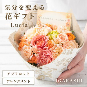 yӂ邳Ɣ[ŁzyX^CƉԐFIׂzCςԃMtg -Lucia- ^ a ̓ ̓ NX}X j LO TvCY j AWg ԑ v[g 