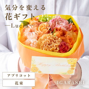 yӂ邳Ɣ[ŁzyX^CƉԐFIׂzCςԃMtg -Lucia- ^ a ̓ ̓ NX}X j LO TvCY j AWg ԑ v[g 