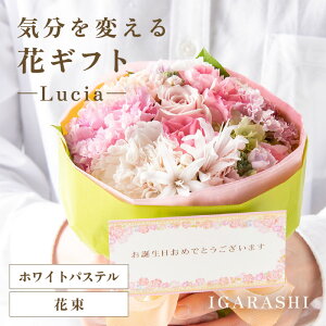 yӂ邳Ɣ[ŁzyX^CƉԐFIׂzCςԃMtg -Lucia- ^ a ̓ ̓ NX}X j LO TvCY j AWg ԑ v[g 