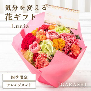 yӂ邳Ɣ[ŁzyX^CƉԐFIׂzCςԃMtg -Lucia- ^ a ̓ ̓ NX}X j LO TvCY j AWg ԑ v[g 