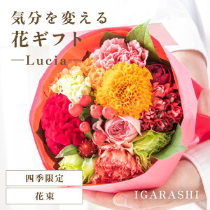 �y�ӂ邳�Ɣ[�Łz�y�X�^�C���ƉԐF��I�ׂ�z�C����ς���ԃM�t�g -Lucia- �^ �a���� ��̓� ���̓� �N���X�}�X �����j�� �����L�O�� �T�v���C�Y ���j�� �A�����W�����g �ԑ� �v���[���g ��