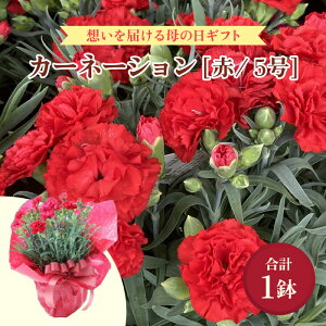 yӂ邳Ɣ[Łzy25Zbg s\zJ[l[V  5 A  ʌIz͂̓Mtg / ԕc  蕨 Mtg  v[g  2026N56`9