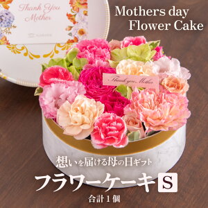 yӂ邳Ɣ[ŁzyGߌ菤izys\zt[P[LS Mothers day Flower Gift ԃMtg  ̓Mtg2026N56`9̊Ԃɂ͂ / ̓ v[g TvCY lCX 