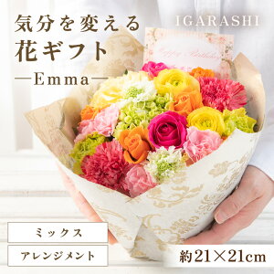 yӂ邳Ɣ[ŁzyX^CƉԐFIׂzCςԃMtg -Emma- ^ a ̓ ̓ NX}X j LO TvCY j AWg ԑ v[g 