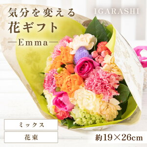 yӂ邳Ɣ[ŁzyX^CƉԐFIׂzCςԃMtg -Emma- ^ a ̓ ̓ NX}X j LO TvCY j AWg ԑ v[g 