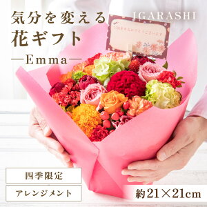 yӂ邳Ɣ[ŁzyX^CƉԐFIׂzCςԃMtg -Emma- ^ a ̓ ̓ NX}X j LO TvCY j AWg ԑ v[g 
