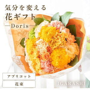 �y�ӂ邳�Ɣ[�Łz�C����ς���ԃM�t�g -Doris- �^ �a���� ��̓� ���̓� �N���X�}�X �����j�� �����L�O�� �T�v���C�Y ���j�� �A�����W�����g �ԑ� �v���[���g ���蕨 �A�����W�����g �t����