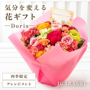 yӂ邳Ɣ[ŁzCςԃMtg -Doris- ^ a ̓ ̓ NX}X j LO TvCY j AWg ԑ v[g 蕨 AWg t