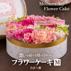 yӂ邳Ɣ[ŁzyGߌ菤izys\zt[P[LM Mothers day Flower Gift ԃMtg  ̓Mtg 2026N56`9̊Ԃɂ͂ / ̓ v[g TvCY lCX 