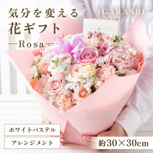 yӂ邳Ɣ[ŁzCςԃMtg -Rosa- ^ a ̓ ̓ NX}X j LO TvCY j AWg ԑ v[g 蕨 AWg t[