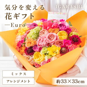 yӂ邳Ɣ[ŁzCςԃMtg -Euro- ^ a ̓ ̓ NX}X j LO TvCY j AWg ԑ v[g 蕨 AWg t[