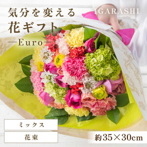 yӂ邳Ɣ[ŁzCςԃMtg -Euro- ^ a ̓ ̓ NX}X j LO TvCY j AWg ԑ v[g 蕨 AWg t[