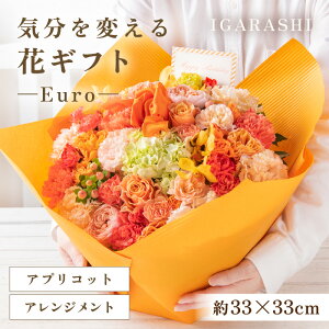 yӂ邳Ɣ[ŁzCςԃMtg -Euro- ^ a ̓ ̓ NX}X j LO TvCY j AWg ԑ v[g 蕨 AWg t[