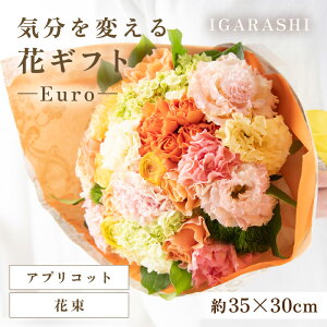 yӂ邳Ɣ[ŁzCςԃMtg -Euro- ^ a ̓ ̓ NX}X j LO TvCY j AWg ԑ v[g 蕨 AWg t[