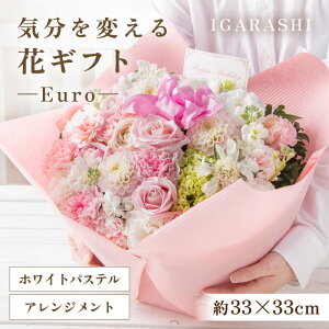 yӂ邳Ɣ[ŁzCςԃMtg -Euro- ^ a ̓ ̓ NX}X j LO TvCY j AWg ԑ v[g 蕨 AWg t[