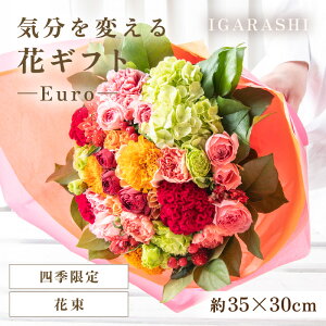 yӂ邳Ɣ[ŁzCςԃMtg -Euro- ^ a ̓ ̓ NX}X j LO TvCY j AWg ԑ v[g 蕨 AWg t[
