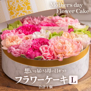 yӂ邳Ɣ[ŁzyGߌ菤izys\zt[P[LL Mothers day Flower Gift ԃMtg  ̓Mtg 2026N56`9̊Ԃɂ͂ / ̓ v[g TvCY lCX 