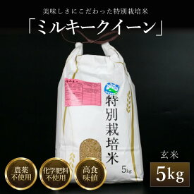 【ふるさと納税】【先行予約】【令和8年産 新米】 ミルキークイーン 玄米 5kg 特別栽培米 農薬不使用 化学肥料不使用 ／ 米 お米 5キロ 高品質 鮮度抜群 福井県産 ブランド米 ※2026年10月上旬以降順次発送