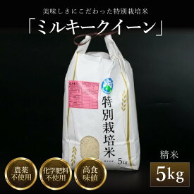 【ふるさと納税】ミルキークイーン 精米 5kg 特別栽培米 農薬不使用 化学肥料不使用 【選べる年産：令和7年産 / 令和8年産】／ 米 お米 5キロ 高品質 鮮度抜群 福井県産 ブランド米