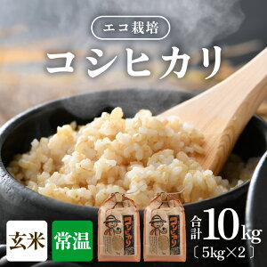 yӂ邳Ɣ[Łzys\zyߘa7NY VāzGR͔|RVqJ 10kgi5kg×2j ^ NxQ 䌧Y Ђ  VN  2025N10{菀o攭