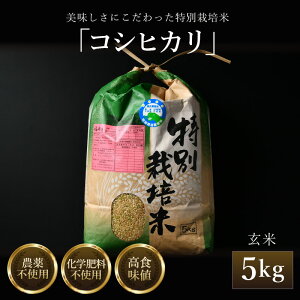 �y�ӂ邳�Ɣ[�Łz�y��s�\��z�y�ߘa8�N�Y �V�āz�R�V�q�J�� ���� 5kg ���ʍ͔|�� �_��s�g�p ���w�엿�s�g�p �^ �� ���� 5�L�� ���i�� �N�x���Q ���䌧�Y �u�����h�� ��2026�N9�����{��菇��