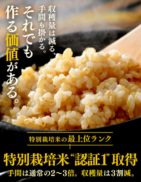 楽天市場】【ふるさと納税】【先行予約】【令和8年産 新米】コシヒカリ 