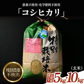 【ふるさと納税】【先行予約】【令和8年産 新米】コシヒカリ 玄米 5kg 10kg 定期便 3回 6回 12回 特別栽培米 農薬不使用 化学肥料不使用 ／ 米 お米 5キロ 10キロ 高品質 鮮度抜群 福井県産 ブランド米 ※2026年9月下旬より順次発送予定