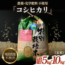 楽天市場】福井県産 玄米 30kgの通販