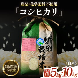 【ふるさと納税】【先行予約】【選べる年産：令和8年産 / 令和9年産】コシヒカリ 精米 5kg 10kg 定期便 3回 6回 12回 特別栽培米 農薬不使用 化学肥料不使用 ／ お米 5キロ 10キロ 高品質 福井県産 ブランド 米 白米 【R8：2026年9月下旬〜発送】【R9：2027年9月下旬〜発送】