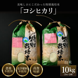 yӂ邳Ɣ[ŁzRVqJ  5kg×2܁iv10kgj ʍ͔| ߘa6NY ߘa7NY _sgp w엿sgp ^   10kg 10L i 䌧Y uh 