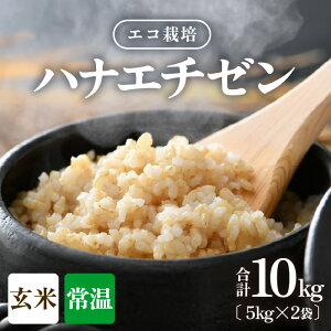 yӂ邳Ɣ[Łzys\zyߘa8NY Vāz GR͔|niG`[ 10kg i5kg×2܁j ^ NxQ 䌧Y ͂Ȃ  VN  2026N9{ȍ~\