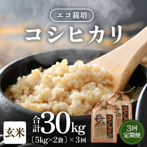 yӂ邳Ɣ[Łzys\zyߘa7NY Vāzs3tGR͔|RVqJ 10kgi5kg×2܁jv30kg ^ NxQ 䌧Y Ђ  VN  2025N10{菀o