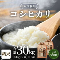 楽天市場】コシヒカリ 福井 30kgの通販