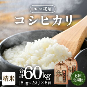 yӂ邳Ɣ[Łzyߘa7NY Vāzs6tGR͔|RVqJ 10kgi5kg×2܁jv60kg ^ NxQ 䌧Y Ђ  VN 