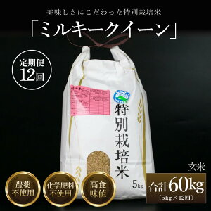 yӂ邳Ɣ[Łzys\zyߘa8NY Vāzցs12A͂t ʍ͔| ~L[NC[  5kg iv60kgj _sgp w엿sgp ^   i NxQ 