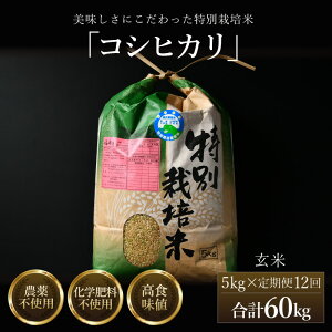 �y�ӂ邳�Ɣ[�Łz�y��s�\��z�y�ߘa8�N�Y �V�āz����ցs12�����A�����͂��t�R�V�q�J�� ���� 5kg �i�v60kg�j���ʍ͔|�� �_��s�g�p ���w�엿�s�g�p �^ �c���_��[�� ���i�� �N�x���Q ���䌧