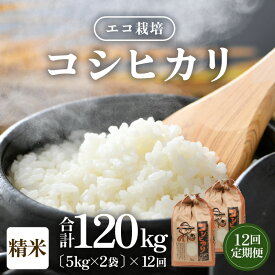 【ふるさと納税】【先行予約】【令和8年産 新米】《定期便12回》エコ栽培コシヒカリ 白米10kg（5kg×2袋）計120kg ／ 米 お米 定期便 10キロ 鮮度抜群 福井県産 こしひかり ご飯 新鮮 白米 ※2026年10月上旬より順次発送予定