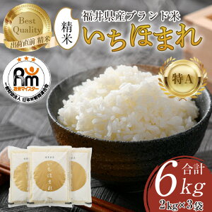 yӂ邳Ɣ[Łzyߘa7NYEVāzق܂  2kg×3܁iv6kgjsă}CX^[IIOɐāIt^   䌧Y uh   VN