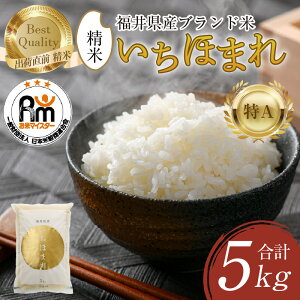 yӂ邳Ɣ[Łzyߘa7NYEVāz ق܂  5kg × 1܁să}CX^[IIOɐāIt ^  5kg 5L 䌧Y uh   VN   