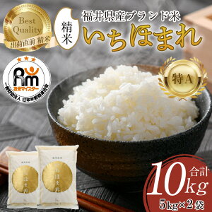 yӂ邳Ɣ[Łzyߘa7NYEVāz 10kg ق܂  5kg × 2܁iv10kgjsă}CX^[IIOɐāIt ^   10kg 10L 䌧Y uh   VN