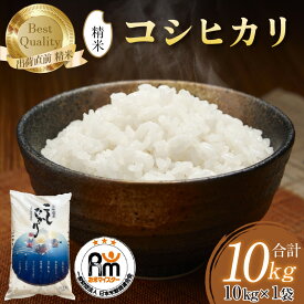 【ふるさと納税】【令和7年産】コシヒカリ 精米 10kg×1袋 《お米マイスターが発送直前に精米！》／ 米 お米 10キロ 福井県産 ブランド米 ご飯 白米 新鮮
