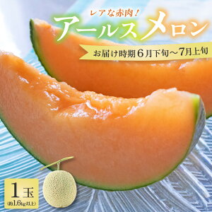 yӂ邳Ɣ[Łzys\zA[X 1ʁi1.6kgȏjԓi I ^ }XN  ʕ t[c  Mtg _ƒ 2026N6{ȍ~\
