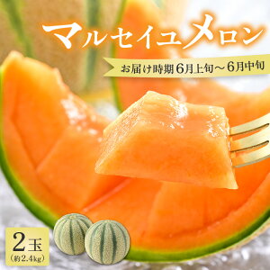 yӂ邳Ɣ[Łzys\z}ZC 2 2.4kgi1.2kgȏ×2ʁjlC̐ԓiI̖킢 ^ ʕ t[c Mtg _ƒ 2026N6{ȍ~
